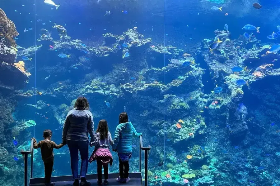 家庭与水族馆在海湾